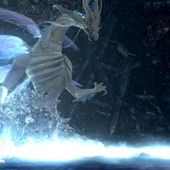 07