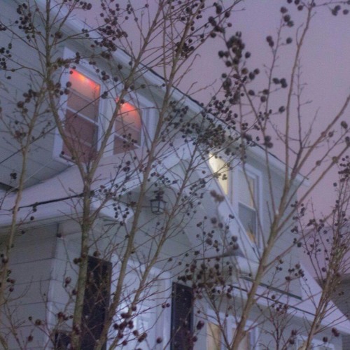 Sima - For You