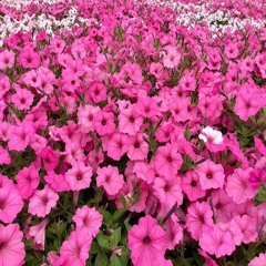 내 자리 (My place) / Luna