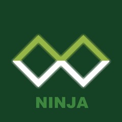 Ninja Boogie [2A03]