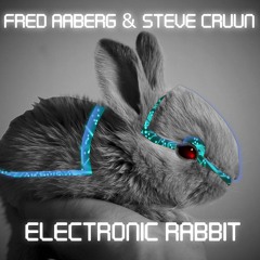 Electronic Rabbit
