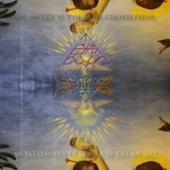 The Sweet Nut of Pure Ghostliness