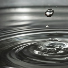 New Year's Day - U2 Cover