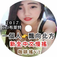 一個人X飄向北方《2017 DJ布萊特 Bright‧新全中文慢搖‧咖啡搖V2》