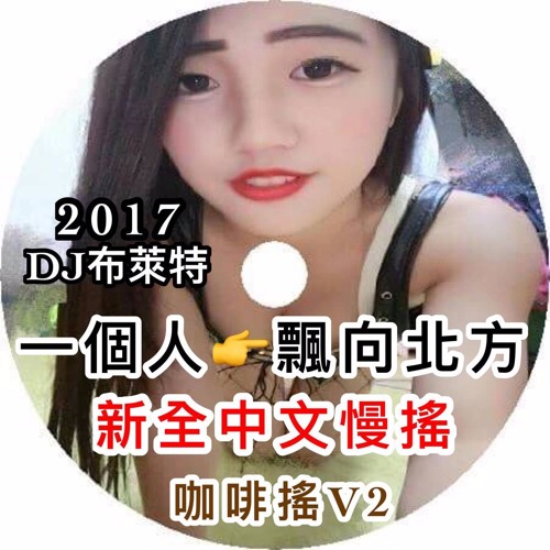 一個人X飄向北方《2017 DJ布萊特 Bright‧新全中文慢搖‧咖啡搖V2》