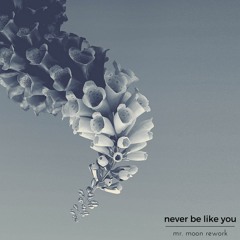 flume - never be like you ft. kai (mr. moon rework)