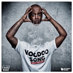 Willy William - Voodoo Song (DJ Black Mashup)