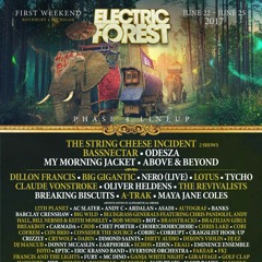 Electric Forest 2017