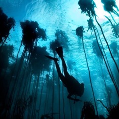 Champagne [Mushu The Ghost Ryder x Fabiz x Spidey]