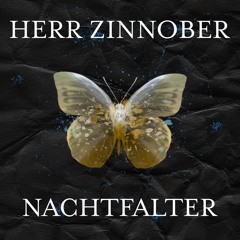 Nachtfalter