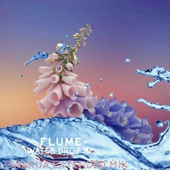 Flume - Water Drop ID (Swakua Extended Mix)