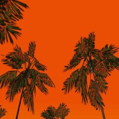 palmera (sanctuary vinyl out now)