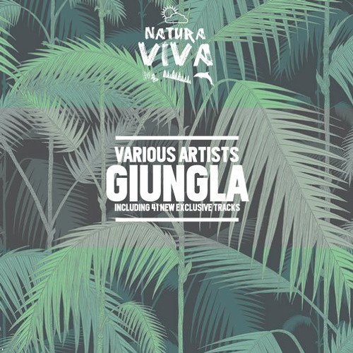 The Break (Original Mix) (Natura Viva)