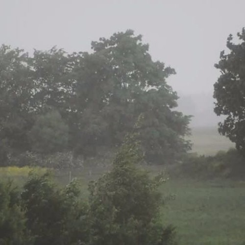 the overcast between us