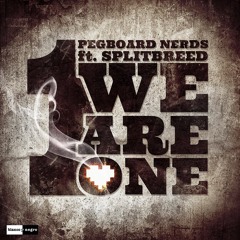 Pegboard Nerds Ft. Splitbreed - We Are One (StunBreaks Refix)