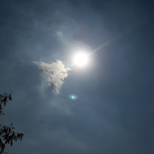 لا تنس اخاك.MP4