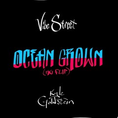 Vibe Street- Ocean Grown (KG Flip)