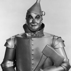 Thee Tin Man
