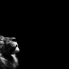Rusko - Lions Paw