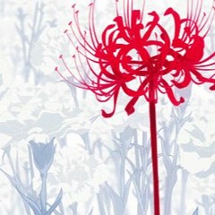 lycoris radiata action #1