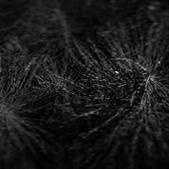 3920481 - Work in progress