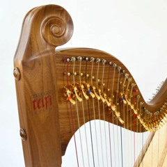 Eos 36 String Celtic Lever Harp - Adar Man Y Mynydd (Welsh Traditional)