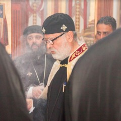 I Washed and received Sight (Fr. Michael Fanous)