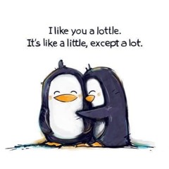 SamG - Why I Love You