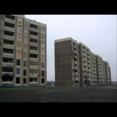 Through Intelligent Eyes