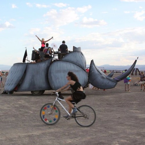 LOKI_FRIDAY28APRIL_AFRIKABURN 2017