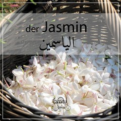 Der Jasmin (Arabisch) الياسمين