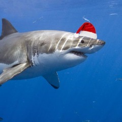 TRFN - HEADS UP (Original Mix)