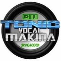 DJ TONIC - VOCAL MAKINA