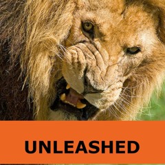 UNLEASHED