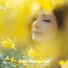 Elnaz Miabinezhad- Sari Gelin