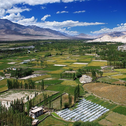 Indus