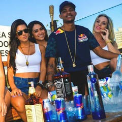 Mc Denny - Mal Cresceu [LANÇAMENTO 2017] [DJ KEVIN O CHRIS]