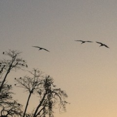 Hare Rama / Halleluja