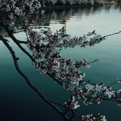 We have oil in our lamps