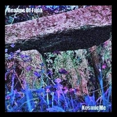 KosmicMc - Ravaging People - feat. Funki Flavour