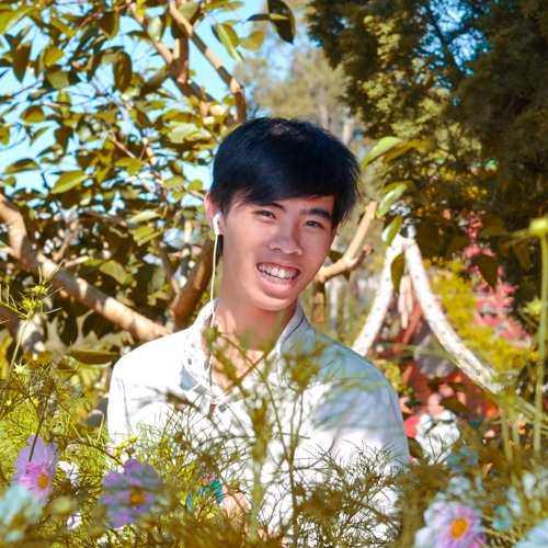 Chiều Hạ Vàng - Nguyên Linh Đại Ngốc