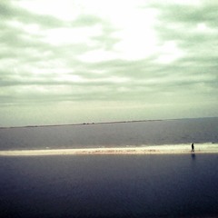 Vizslapark - The Man On The Water