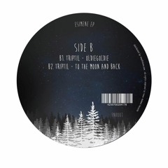[FNV001] B2 Triptil - To The Moon And Back    [ Esimene EP ]