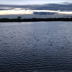 Nobody Else (prod. by Cxdy)