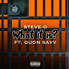 Steve-O - What It Is (Ft. Quon Savv)