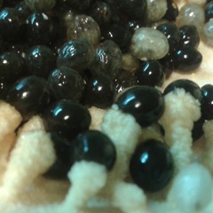 Improvisación de un sábado a la tarde