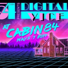 LIVE @ PYNK in Vermont presents Cabin 84, Digital Vice