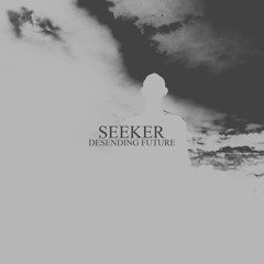 Seeker - Desending (Original Mix)