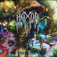 Hax0r! - MushroomLand [Trance]