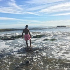 .WAVES